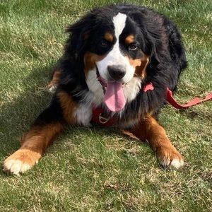 Meet your Posher, Vickie